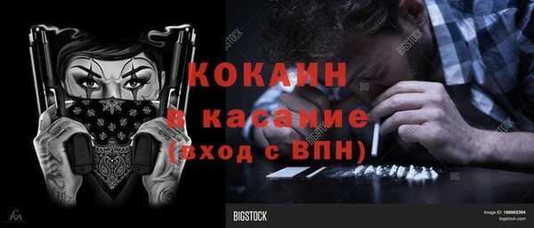 твердый Осташков