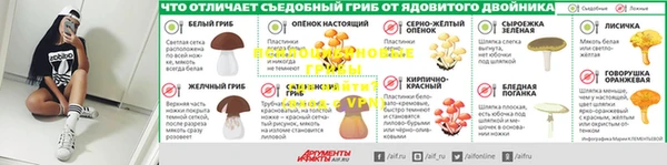 МДПВ Абаза