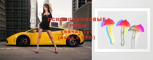 твердый Абинск