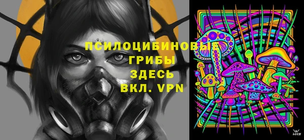 МДПВ Абаза
