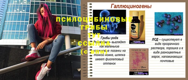 МДПВ Абаза