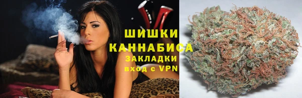 твердый Осташков